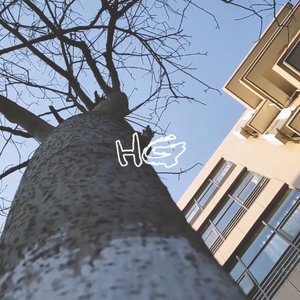 逆风飞翔（海宁市高级中学2018届14班班歌）