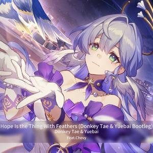 希望有羽毛和翅膀 (Donkey Tae & Yuebai Bootleg)