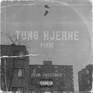 Tung Hjerne