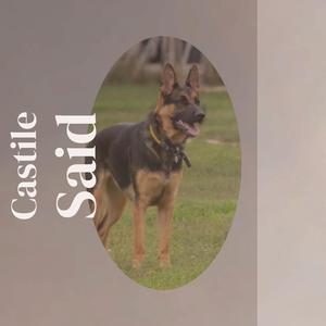 Extraordinary Afternoon