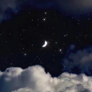 所念皆星河
