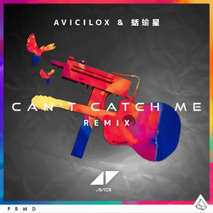 Can't Catch Me（Avicilox & 蛞蝓星 remix）