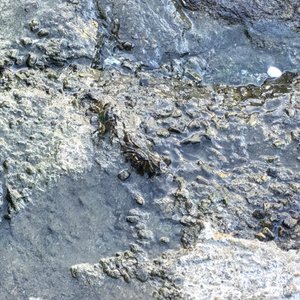 相爱很久却分开