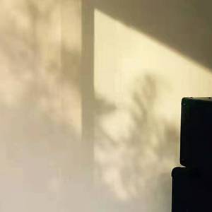 带我们回去平静的生活