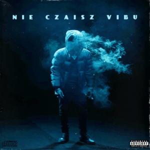 Nie czaisz vibu (feat. kamlon)