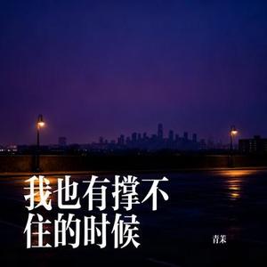 我也有撑不住的时候 (Cover 派星儿)