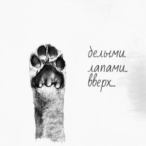 Белыми лапами вверх