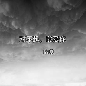 对不起，我爱你