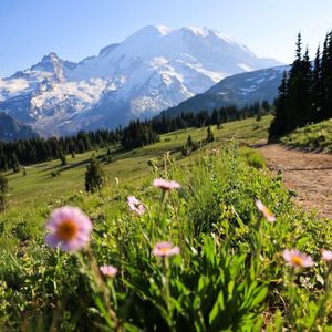 逐光的城市逐梦路 伴奏