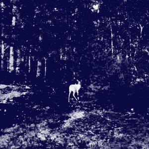 GOODBYE BABY! (feat. SUPERKAI)