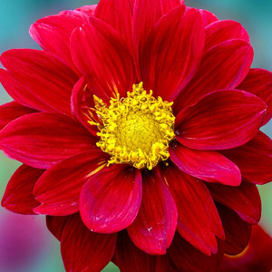 Могучий Искупитель