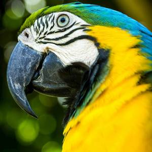 यही है ज़िंदगी हमारी