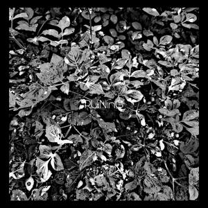 RUiNinG（Prod. by Xxankid）