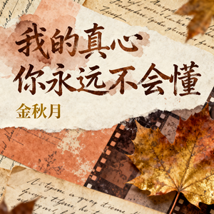 我的真心你永远不会懂