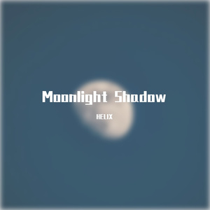 Moonlight Shadow(HardsMix)