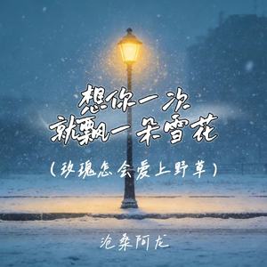 想你一次就飘一朵雪花 (玫瑰怎会爱上野草)