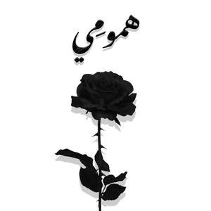 Hmoumi (feat. Issim)