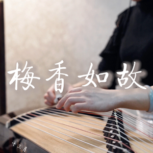 纯古筝｜《如懿传》电视剧片尾曲《梅香如故》