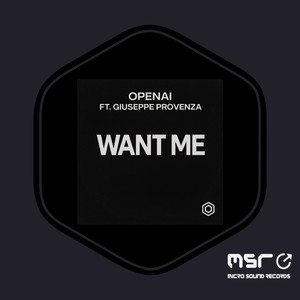 Want Me (Original Mix)