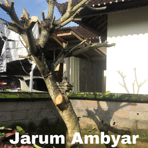 Jarum Ambyar