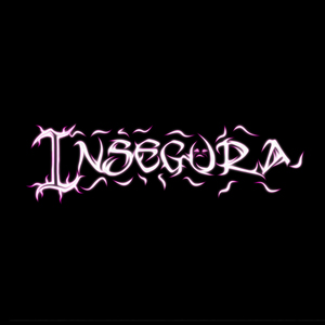 Insegura
