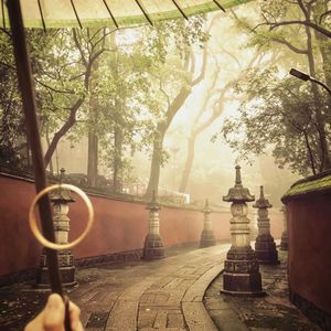 琵琶曲（半掩面惆怅 恨只恨泪两行）