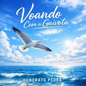 Voando Com a Gaivota
