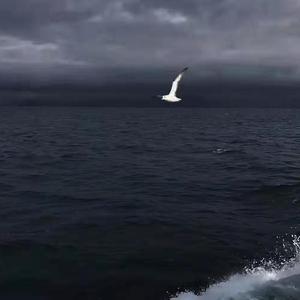 Screenrecorder202109172026105611