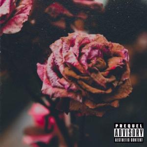 Racks on Racks (feat. Mango Foo & Luh 1Way)