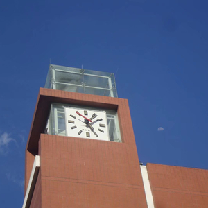 有一天我们会飞