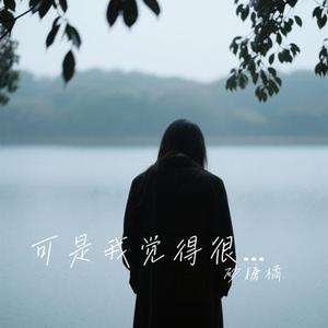可是我觉得很神圣啊