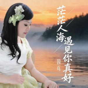 茫茫人海遇见你真好（节奏版）
