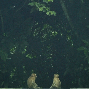 สูดละออง ละลอยล่องลงโลกคู่ขนาน (Sped Up)