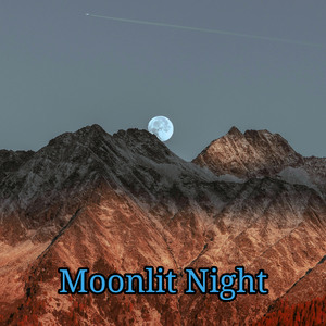 Moonlit Night