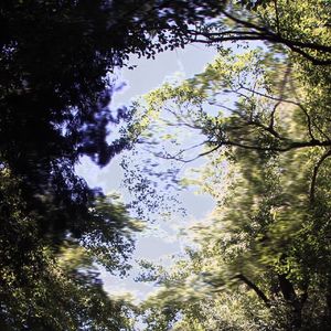 裹着风的妥协 prod.Trezboi