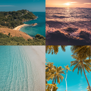 We Three Kings, Chrismas Shopping