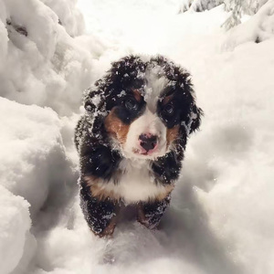 You'll Neverknow 你永远不会懂