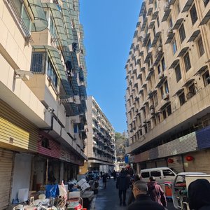 地表世界
