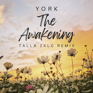 The Awakening (Talla 2XLC Extended Remix)