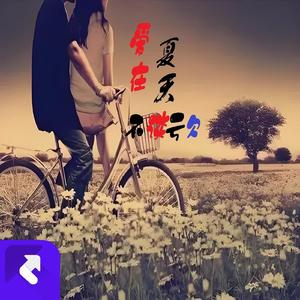 爱在夏天不谈亏欠