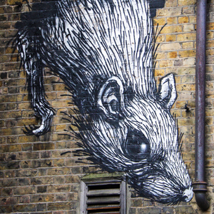 【Beat】DIRR 伴奏