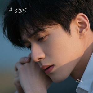 用情 (Cover 张信哲)