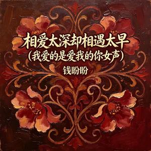 相爱太深却相遇太早（我爱的是爱我的你女声）