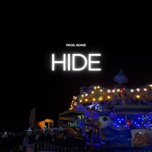 Hide