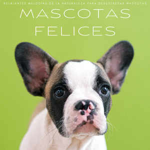 Patitas Peludas