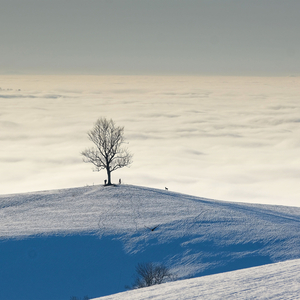 Crystal Clear Winter