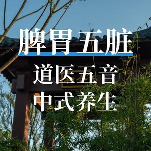 脾胃五脏 道医五音 中式养生