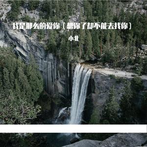 我是那么的爱你（想你了却不能去找你）