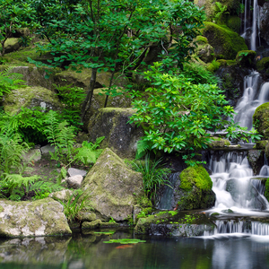一日夫妻百日恩