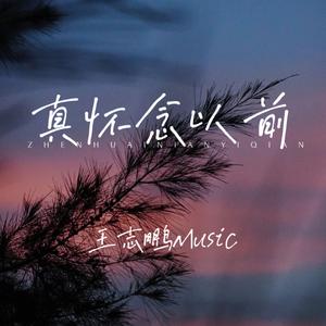 真怀念以前